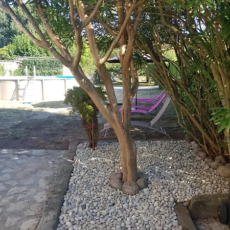 Maison Avec Piscine *